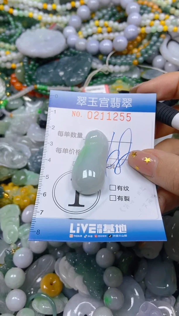颈饰未镶嵌翡翠闪购C0211255