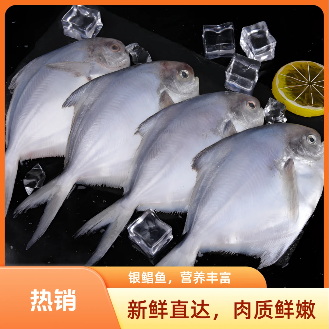 【到手5斤】深海海捕新鲜速冻银鲳鱼顺丰京东冷链包邮