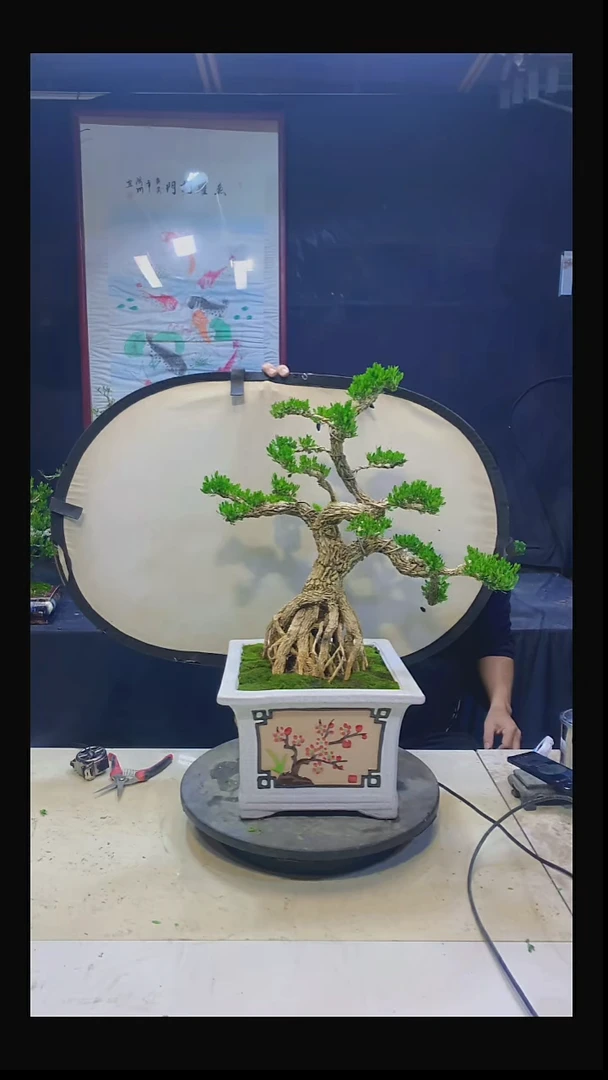 无花朵自**生111111111111