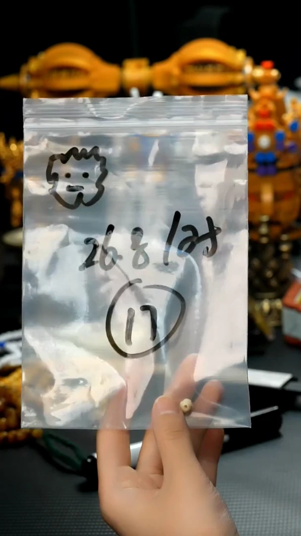 【闪购商品】佛螺菩提吊坠17藏传原生态搭配饰品.