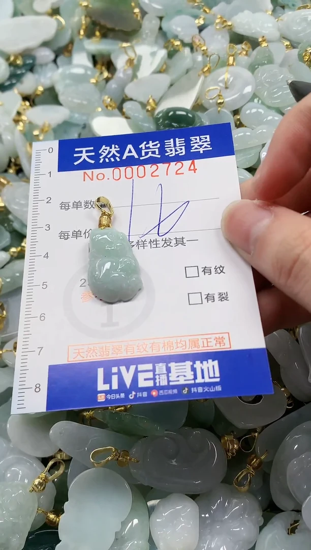 颈饰未镶嵌翡翠纯天然a货翡翠