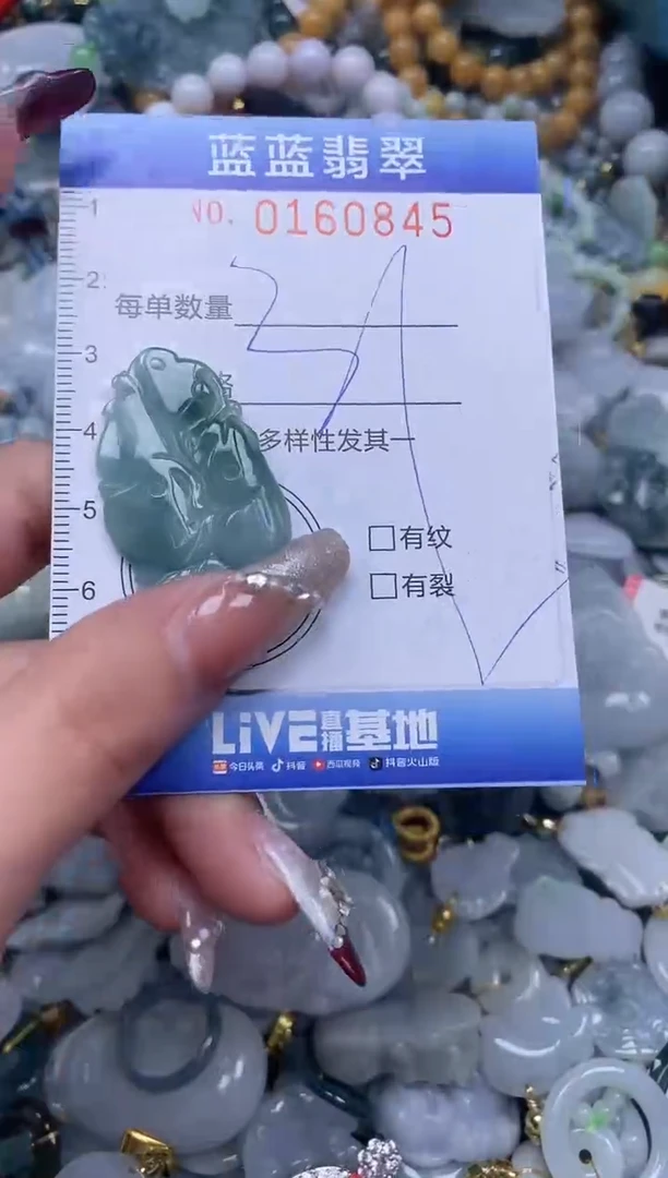 【闪购商品】翡翠颈饰未镶嵌闪购0160845