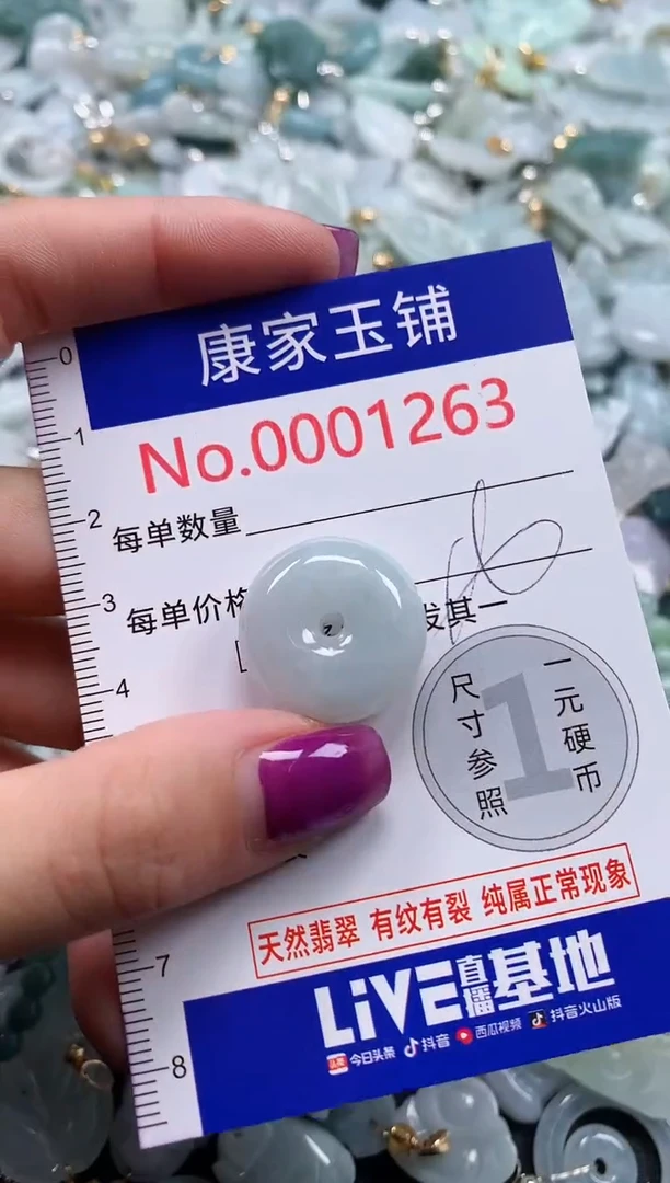 颈饰未镶嵌翡翠1263
