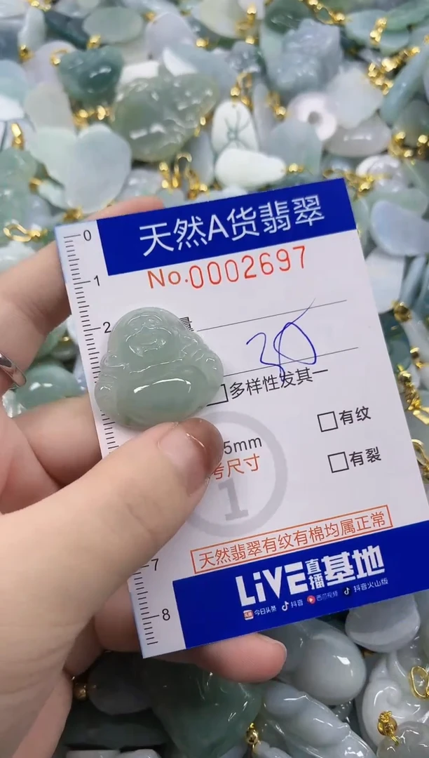 颈饰未镶嵌翡翠天然A货翡翠