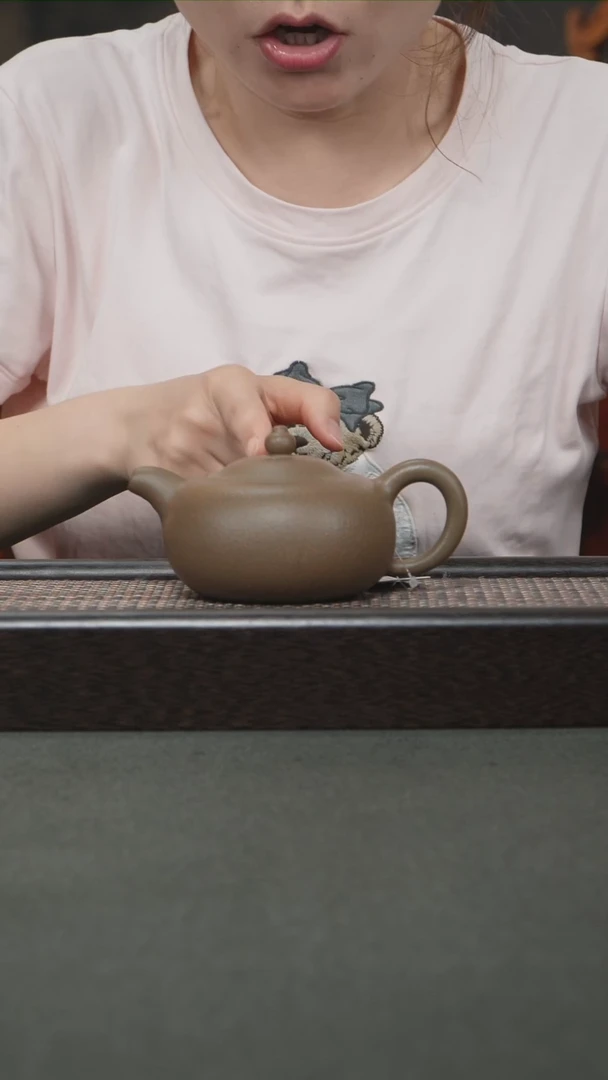 茶壶紫砂宜兴紫砂240cc1070