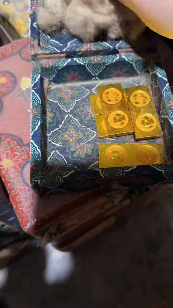 木            巴库开