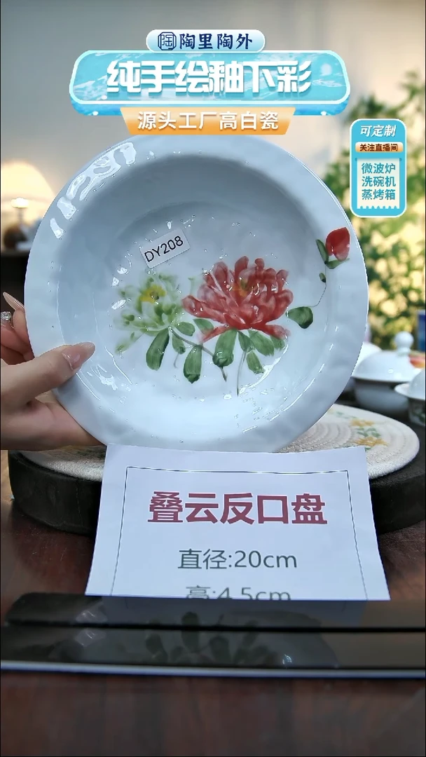 碗景德镇手工手绘陶瓷DY208