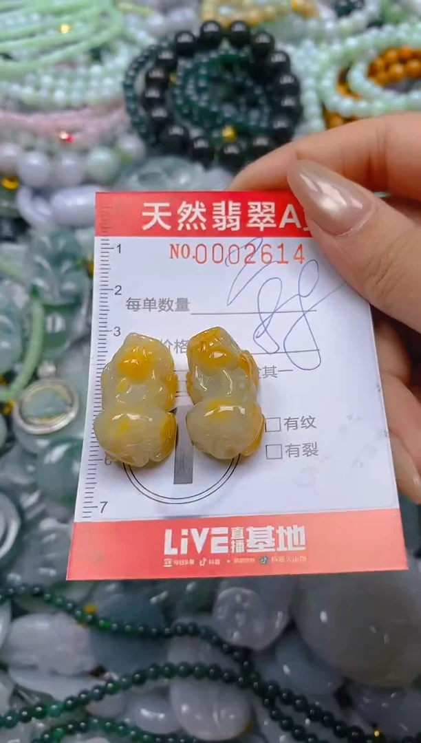 翡翠未镶嵌颈饰闪购0002614