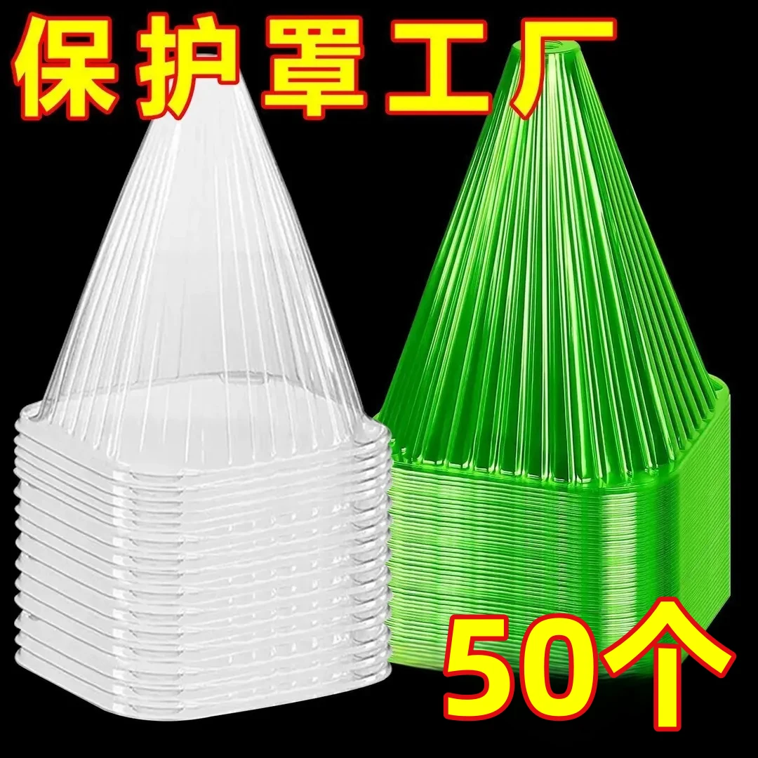 【50个】幼苗塑料保护罩植物免受鸟类霜冻蜗伤害防冻育苗罩可重复用