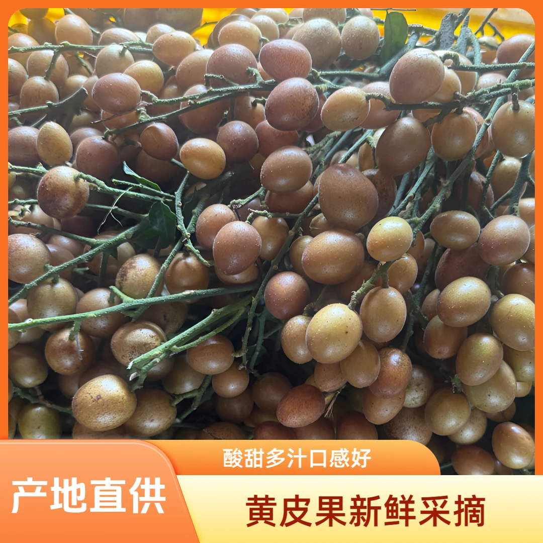 【整箱包邮】果农直销10斤新鲜贵妃黄皮果当季多甜多汁水果