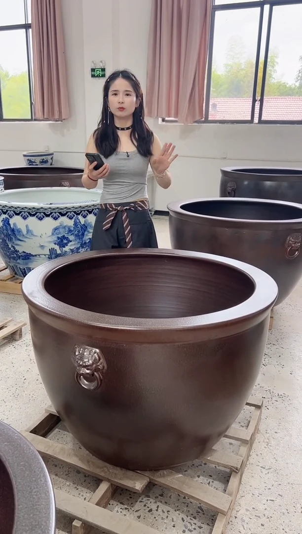 缸一米直径古铜狮耳门海