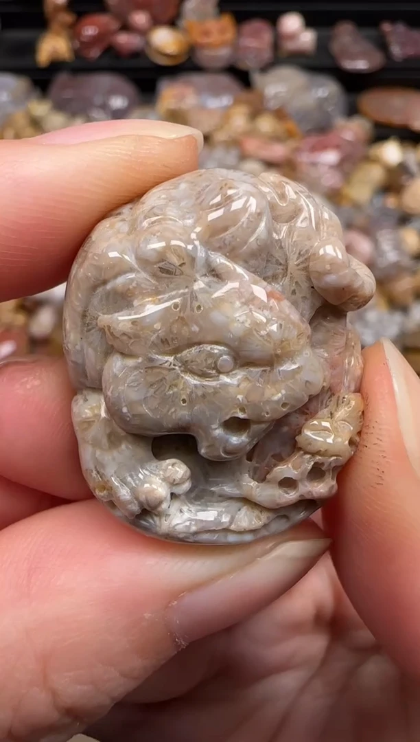 硅化珊瑚（珊瑚玉）未镶嵌颈饰647