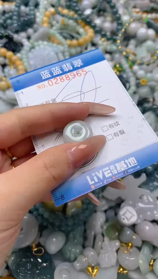 翡翠未镶嵌颈饰闪购0288965多样性发其一