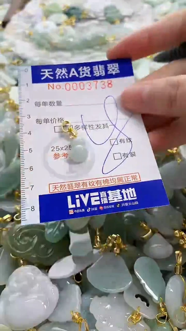 颈饰未镶嵌翡翠天然A货翡翠