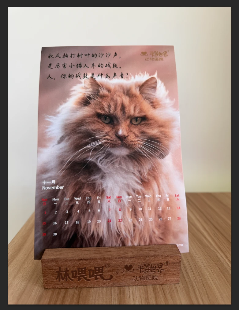 林喂喂【厉害小猫的2026】月历×1套