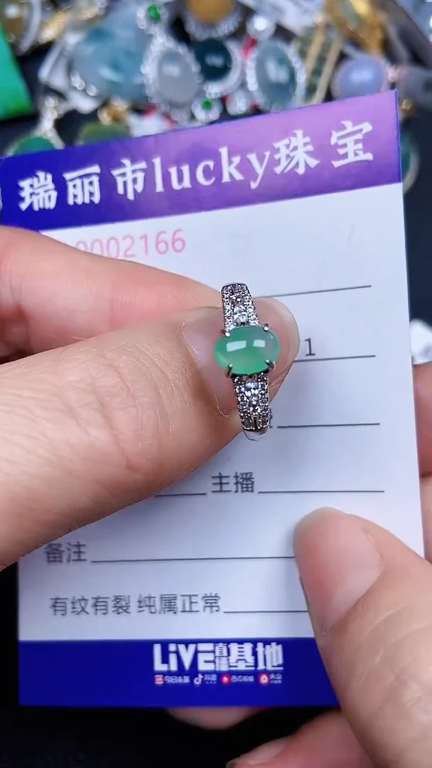 颈饰银S925镶嵌翡翠2166