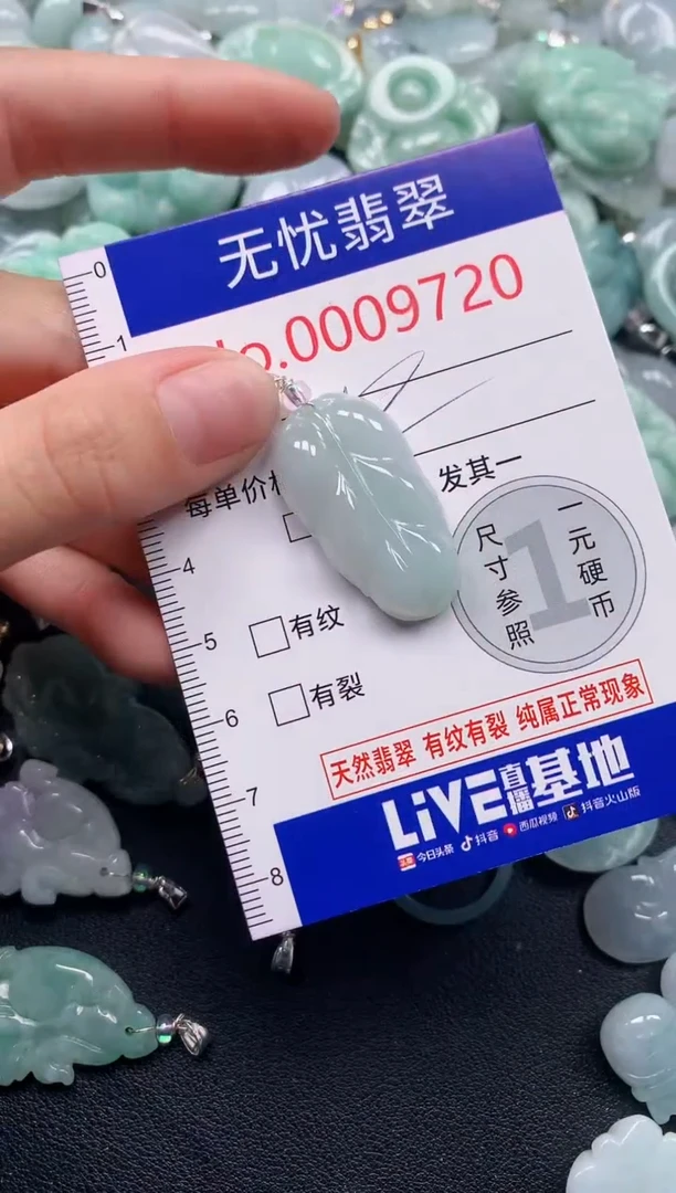 颈饰未镶嵌翡翠9720