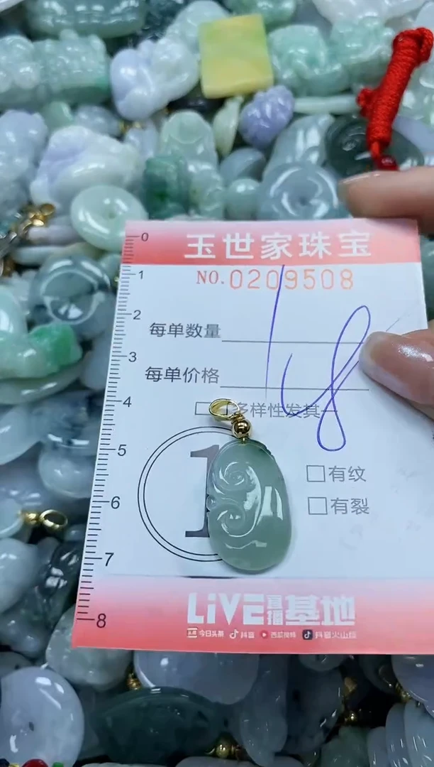 【闪购商品】翡翠颈饰未镶嵌闪购0209508