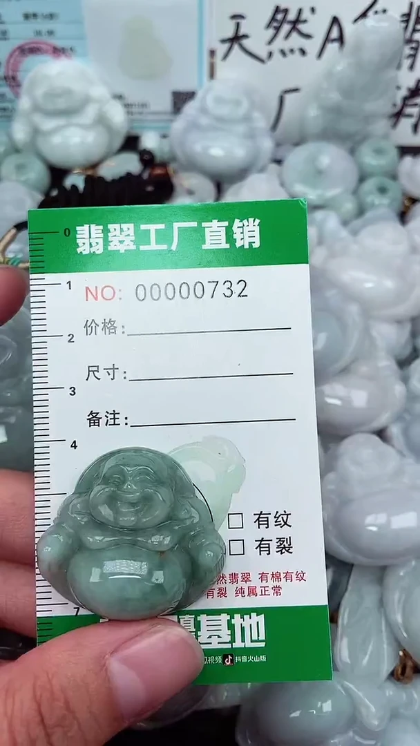 颈饰未镶嵌翡翠缅甸天然翡翠拍一发一0732