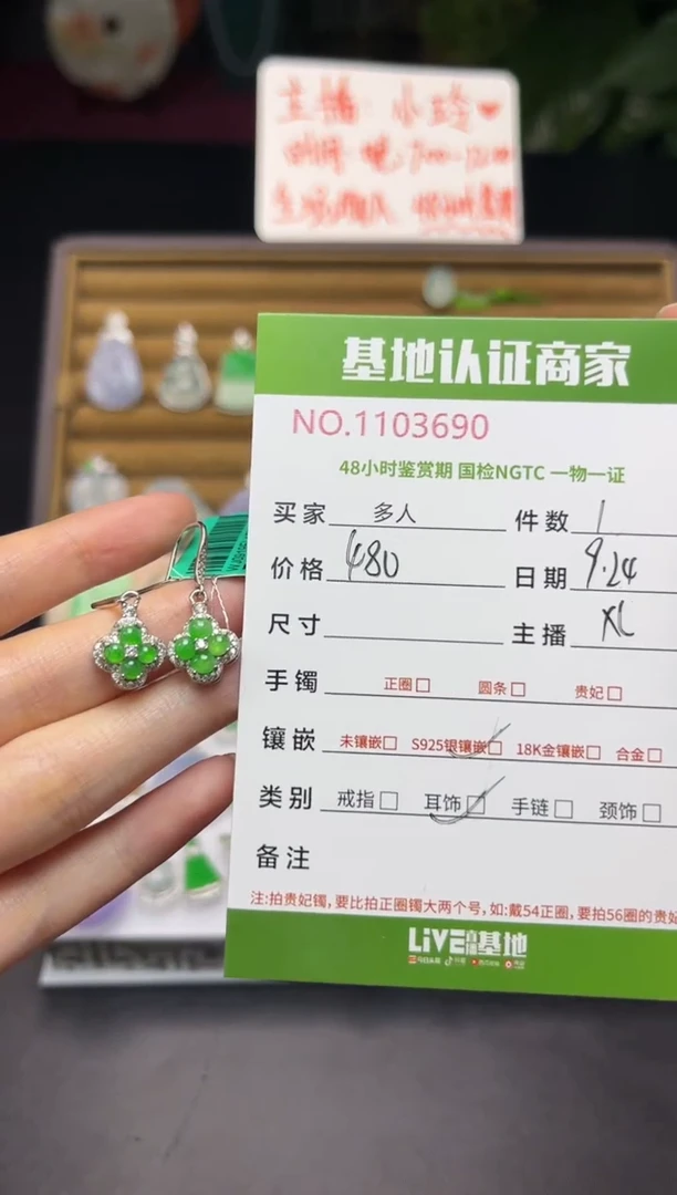 银S925镶嵌翡翠耳饰多人