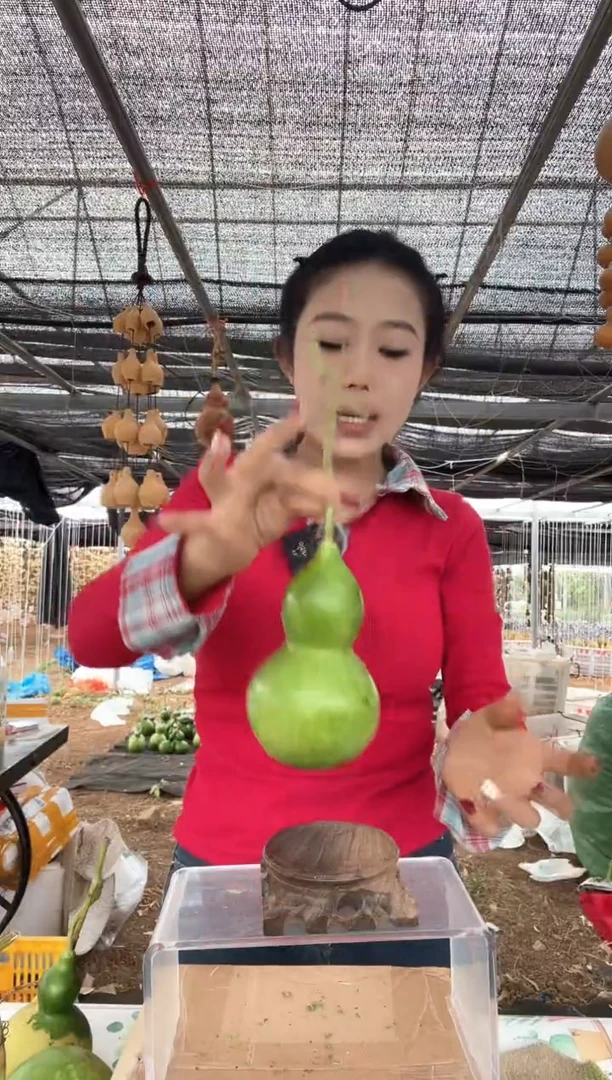 162天然葫芦摆件 一物一拍龙头不保售后