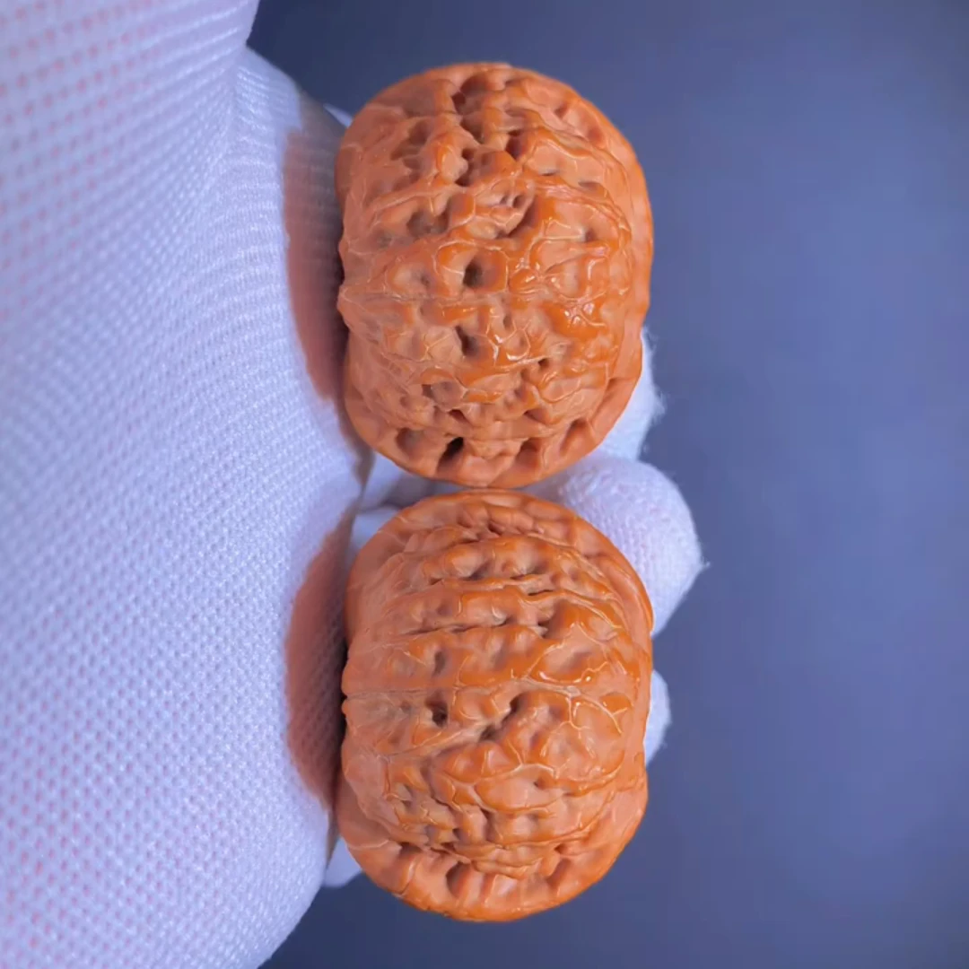 核王文玩核桃老树邯郸