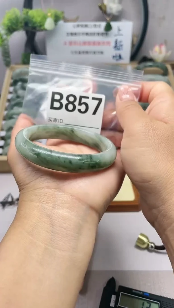 【闪购商品】石英质玉（天山翠）手镯未镶嵌B857