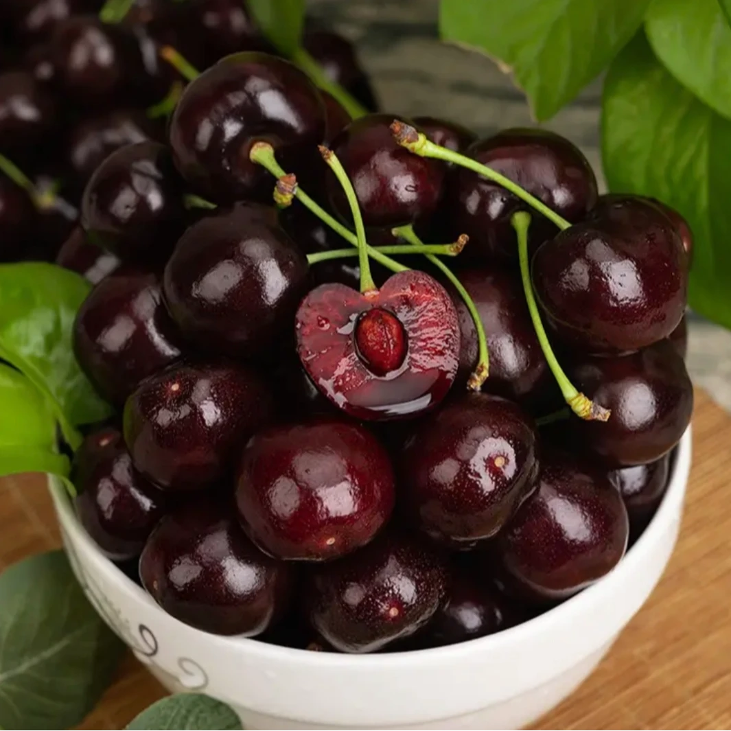 【海运车厘子】智利海运桑提娜3J升级4JD车厘子【1.6斤】内附果径卡JQ