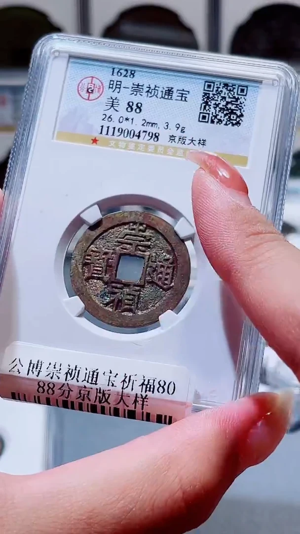 铜A033公博崇祯通宝美京版大样一枚88(柏杨)