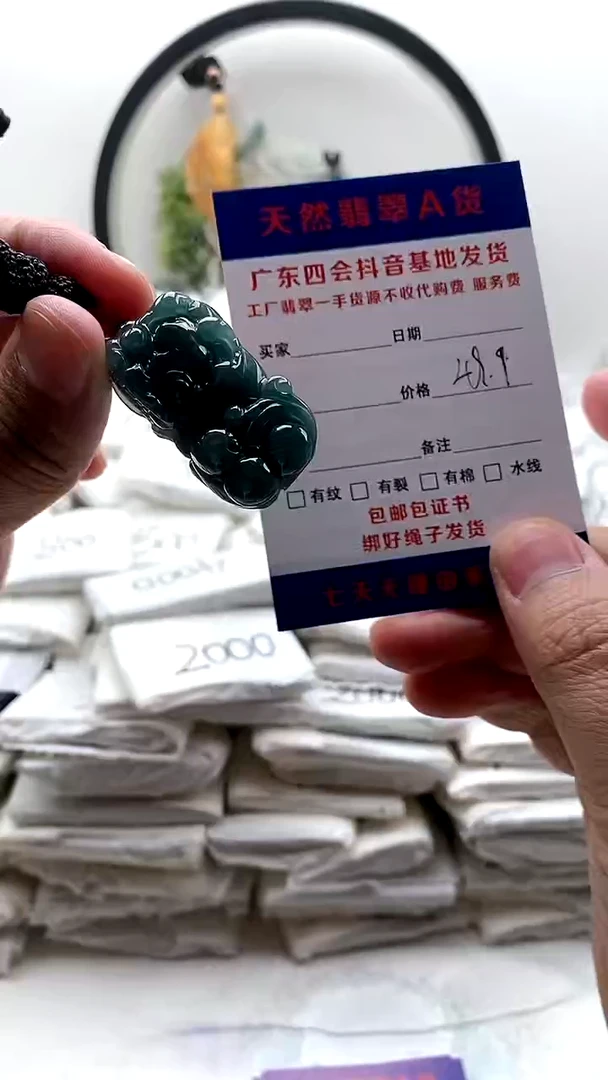 颈饰未镶嵌翡翠貔貅