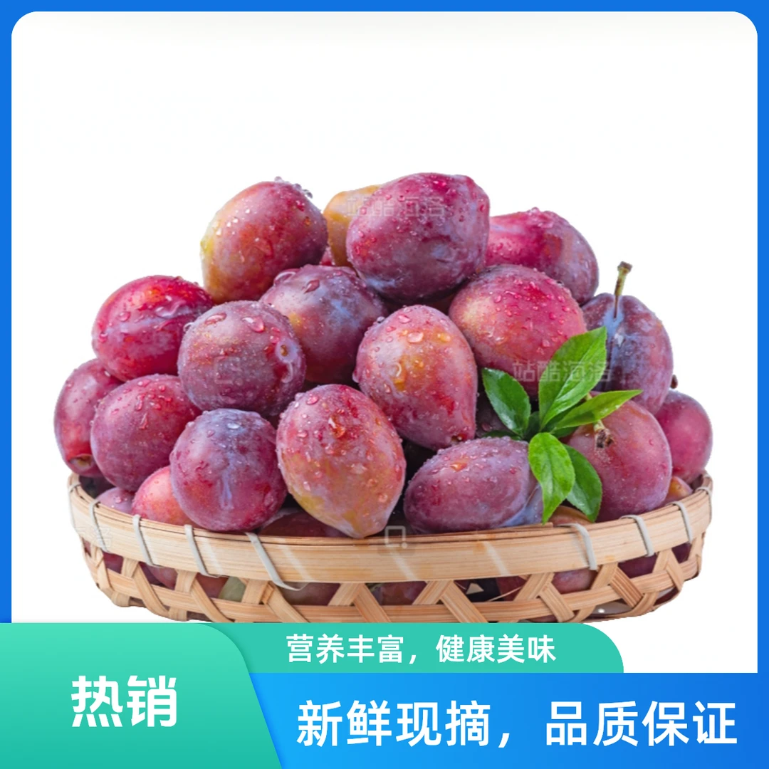 陕西渭南西梅