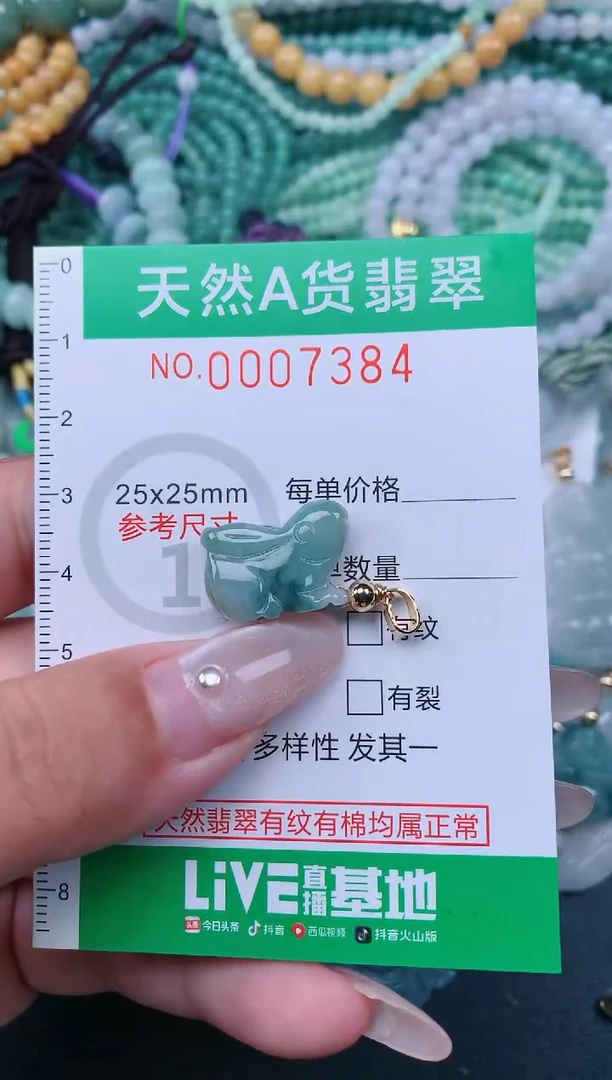 颈饰未镶嵌翡翠.0007384