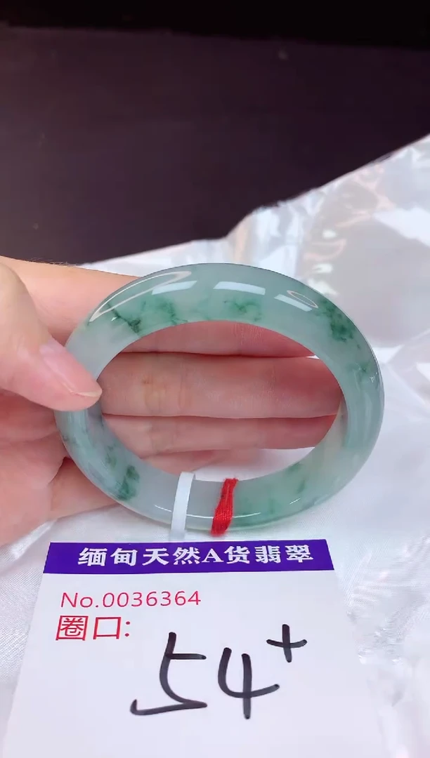 未镶嵌手镯翡翠54