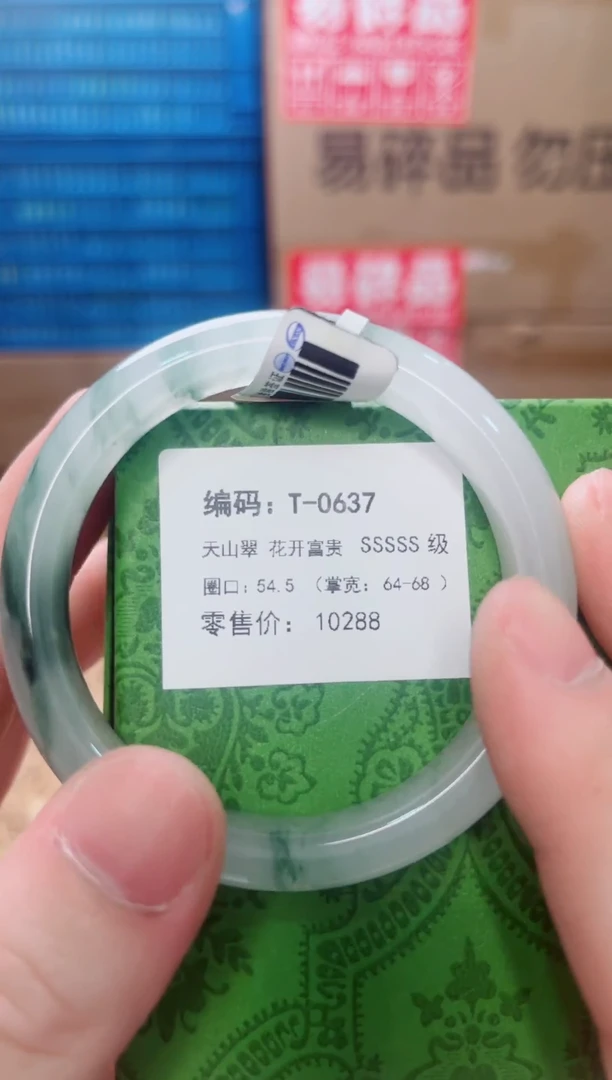 未镶嵌手镯石英质玉T-0637