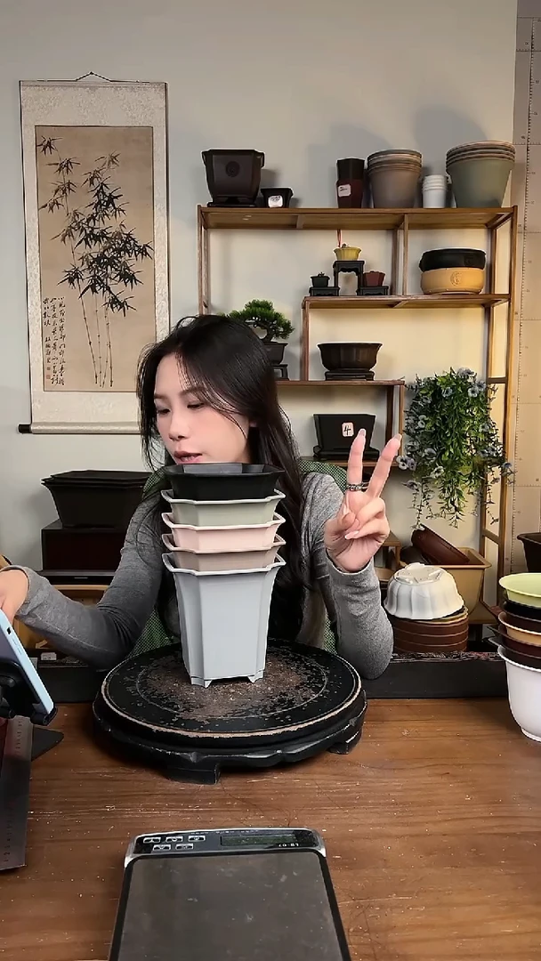 14.5四方尊 6只装颜色随机