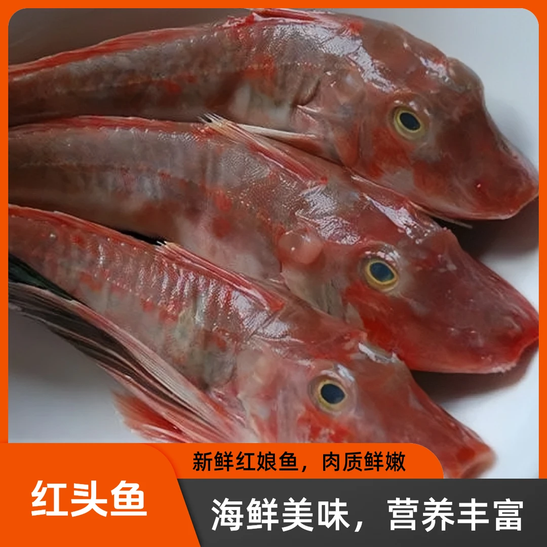 【纯野生红头鱼】 红娘子鱼海捕海鲜 大小不一 冷冻顺丰发货