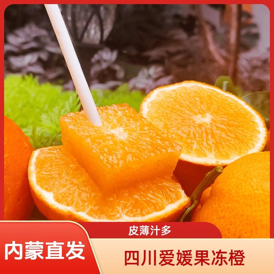 【内蒙直发】爱媛38号果冻橙新鲜应季水果优质农产品孕妇水果