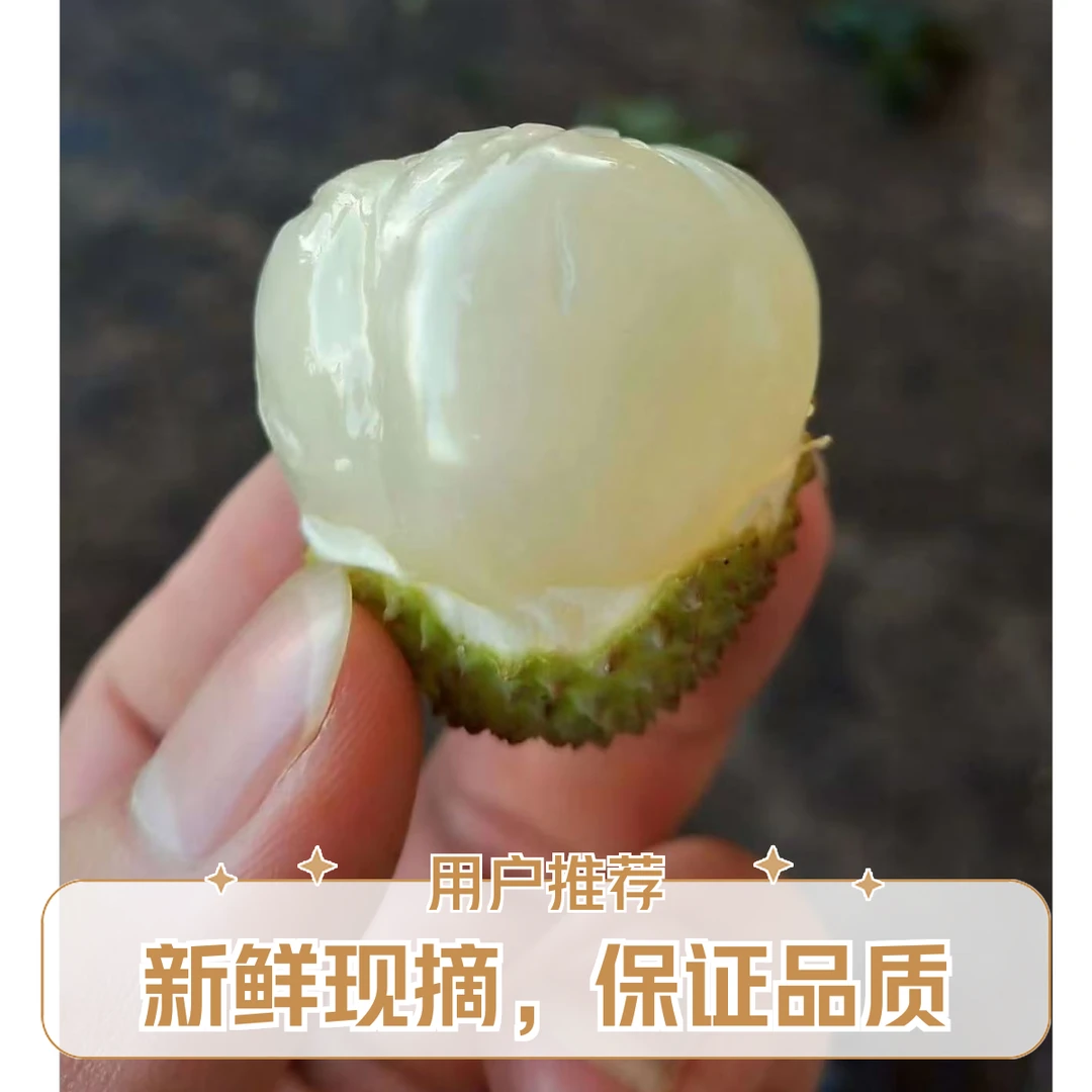 端午节特惠广东荔枝妃子笑皮薄肉厚核小清甜好吃4.5斤装新鲜