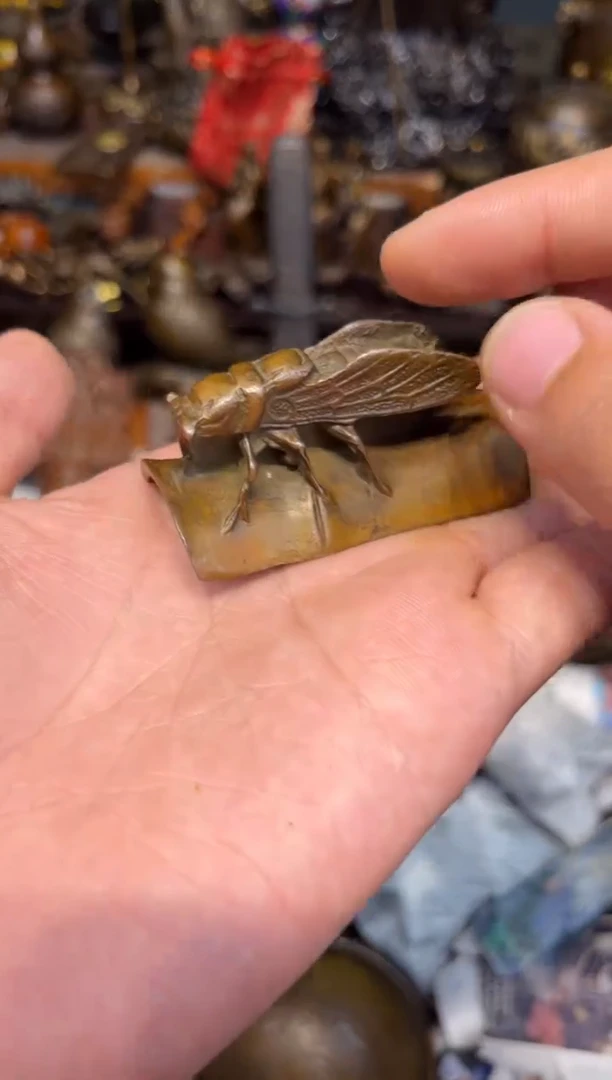 A诺诺古铜专属高端精品