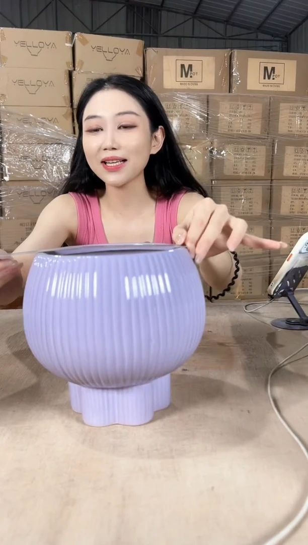 宝莲灯淡紫色17x20