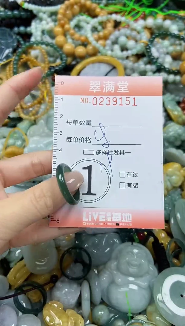 颈饰未镶嵌翡翠闪购0239151