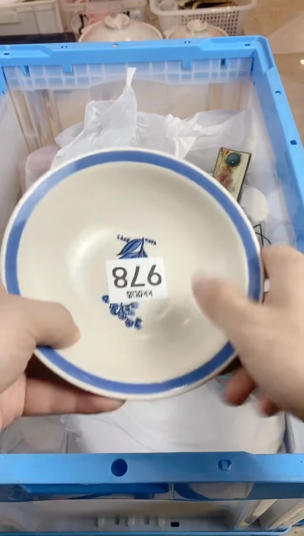 【闪购商品】瓷片978定向 贝贝佳佳佳佳