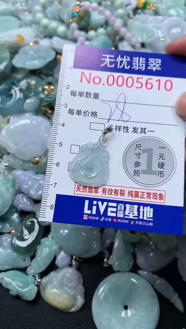 颈饰未镶嵌翡翠5610
