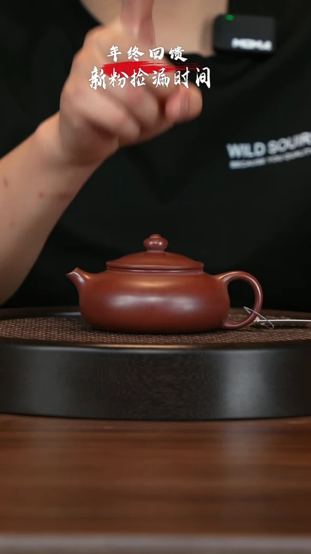 【闪购商品】紫砂茶壶宜兴紫砂壶H5071