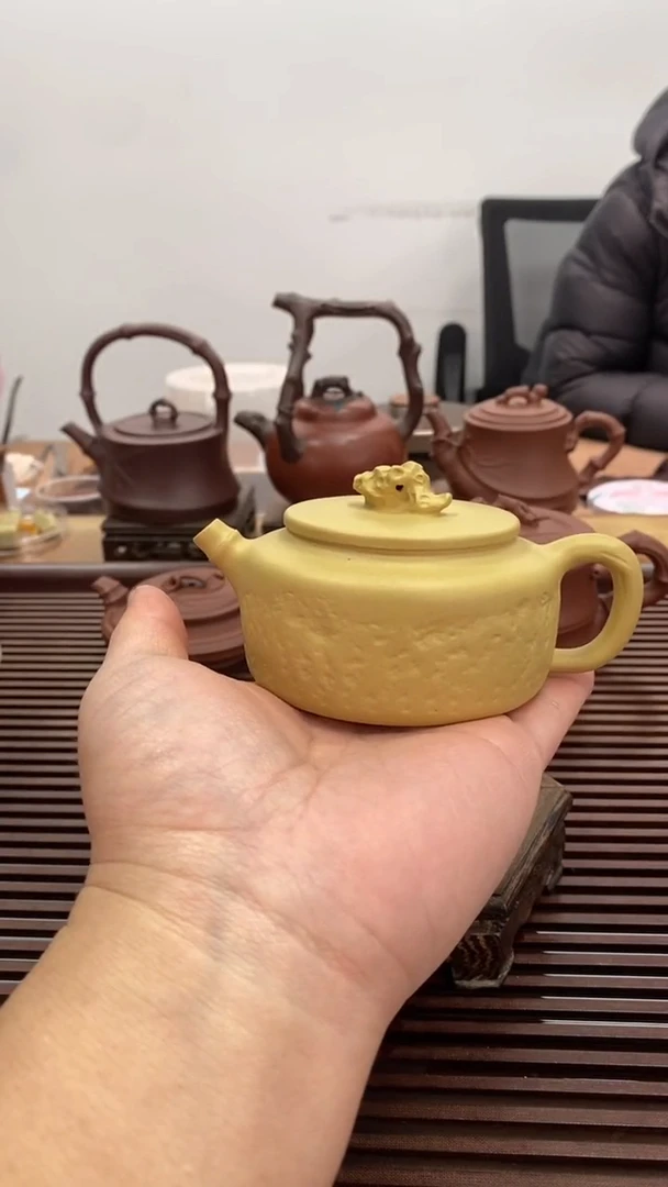 茶壶紫砂福利130毫升太湖石竹7号