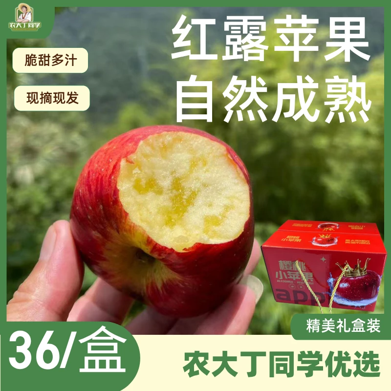 顺丰发货云南昭通高山红露丑苹果新鲜应季脆甜冰糖心水果