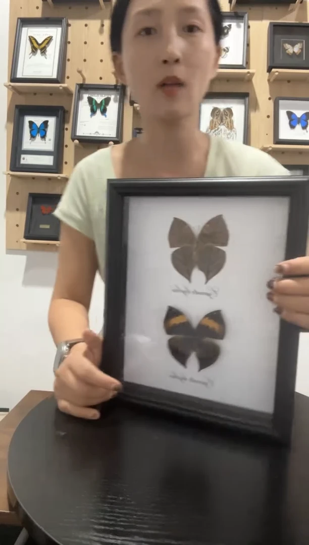 枯叶蛱蝶蝴蝶装饰画