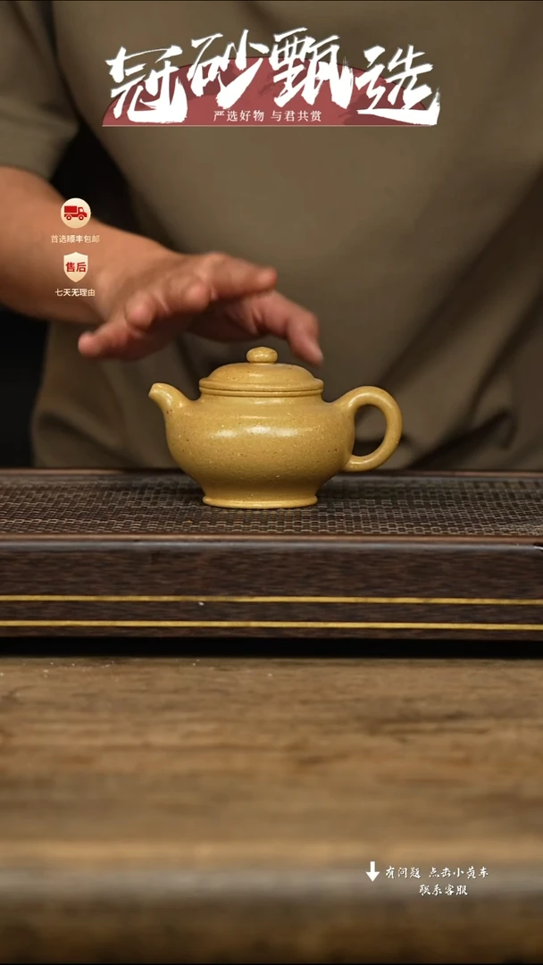 紫砂茶壶冠砂甄选119