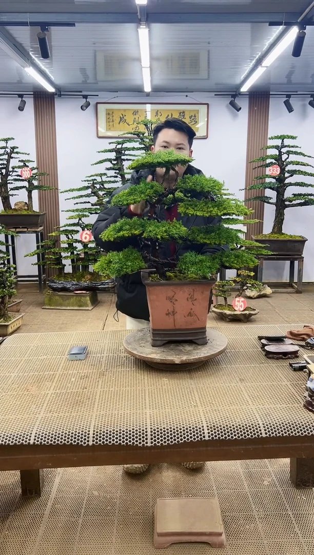 【闪购商品】00000000