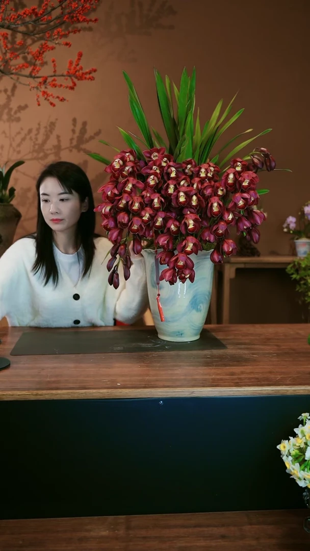 【闪购商品】盆景红袍拱兰